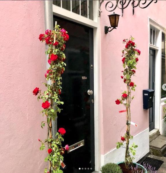 Bookstor Hotel Lahey Dış mekan fotoğraf