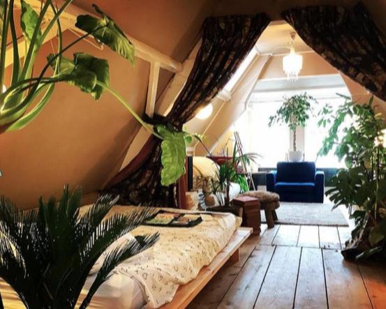 Bookstor Hotel Lahey Dış mekan fotoğraf